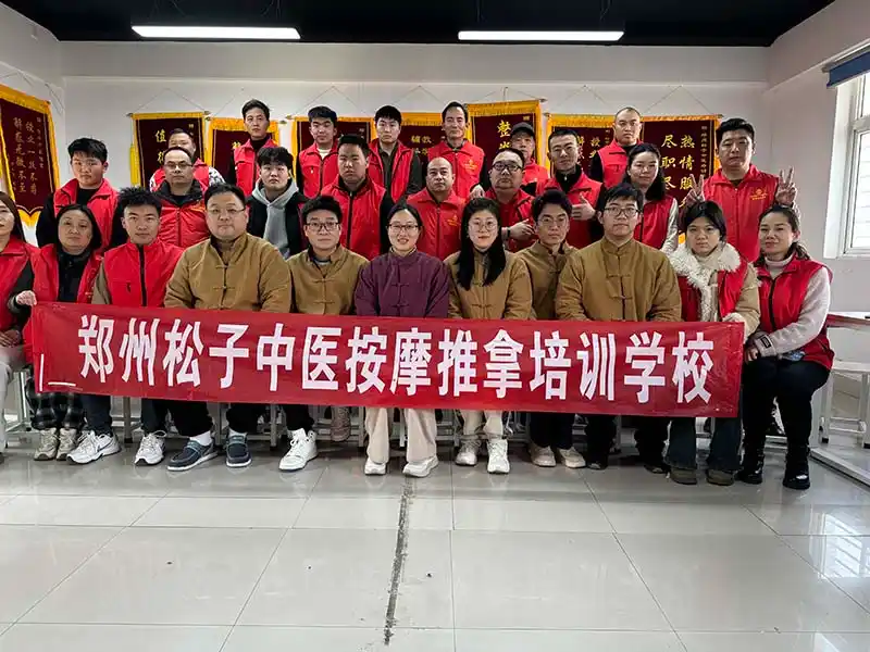郑州松子机构图.jpg
